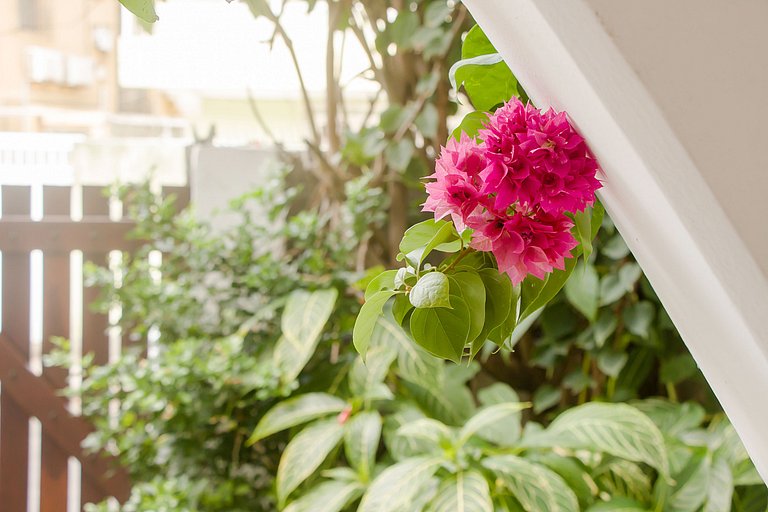 Quarto Dique do Tororó